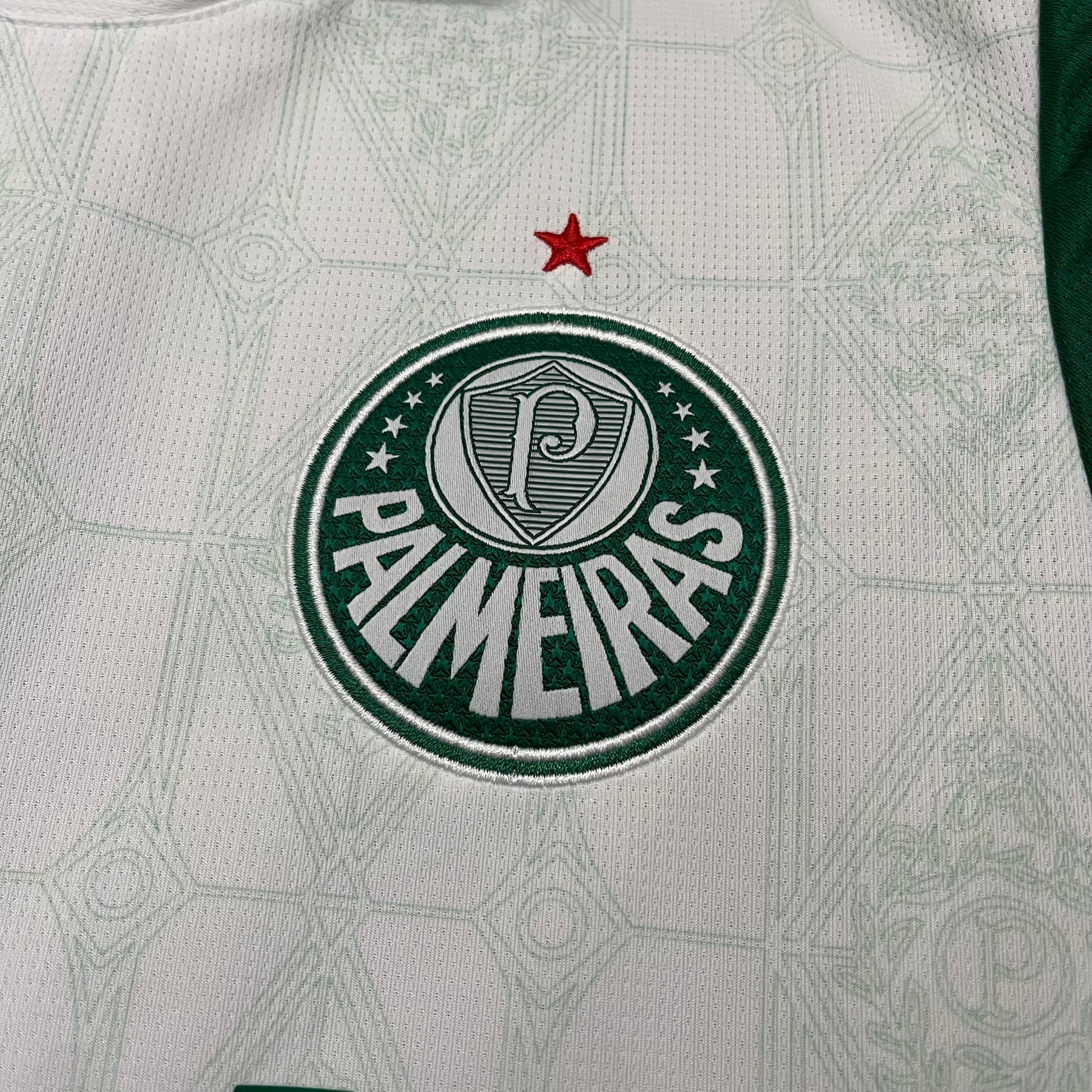 Camisa Palmeiras Away 25-26 Feminina