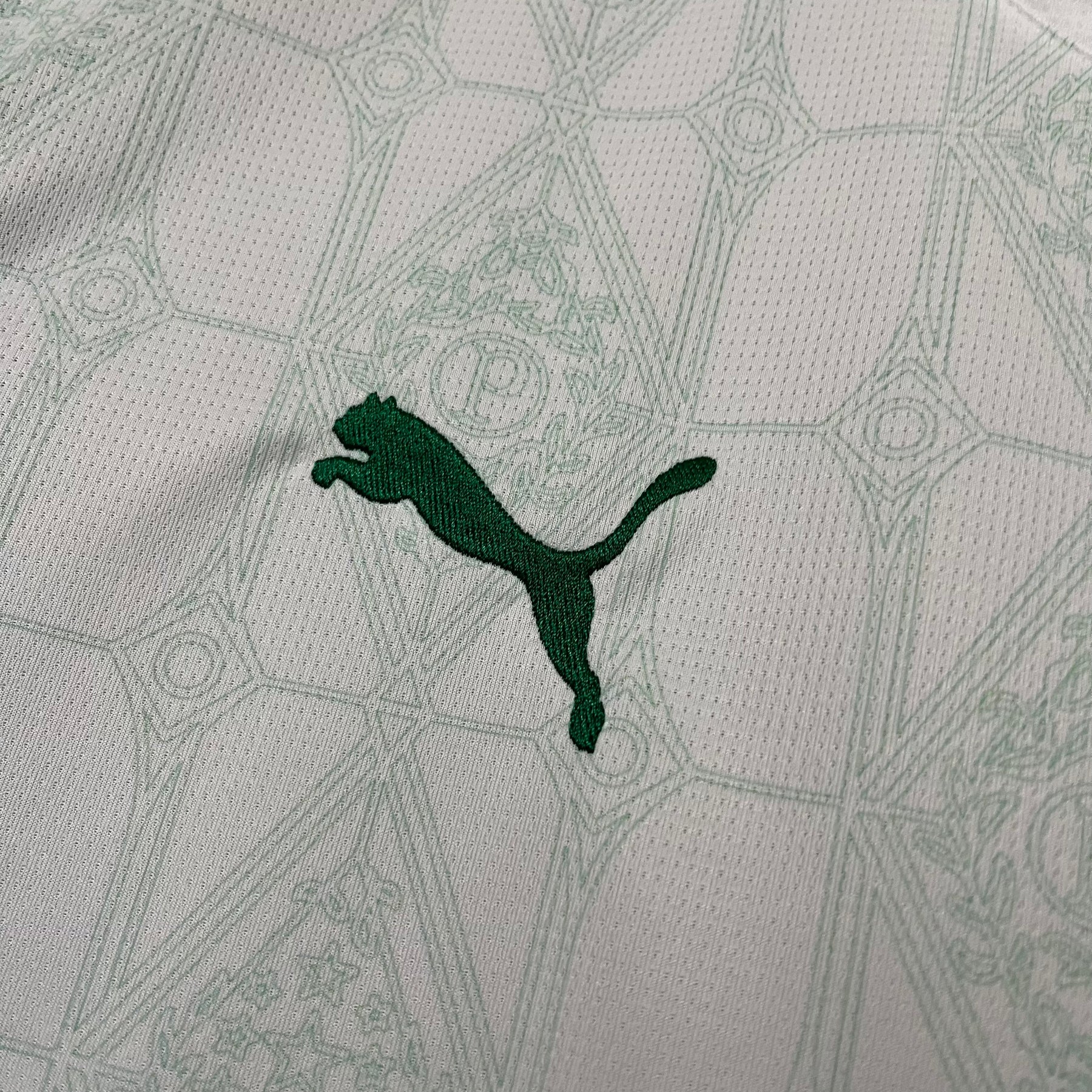 Camisa Palmeiras Away 25-26 Masculina