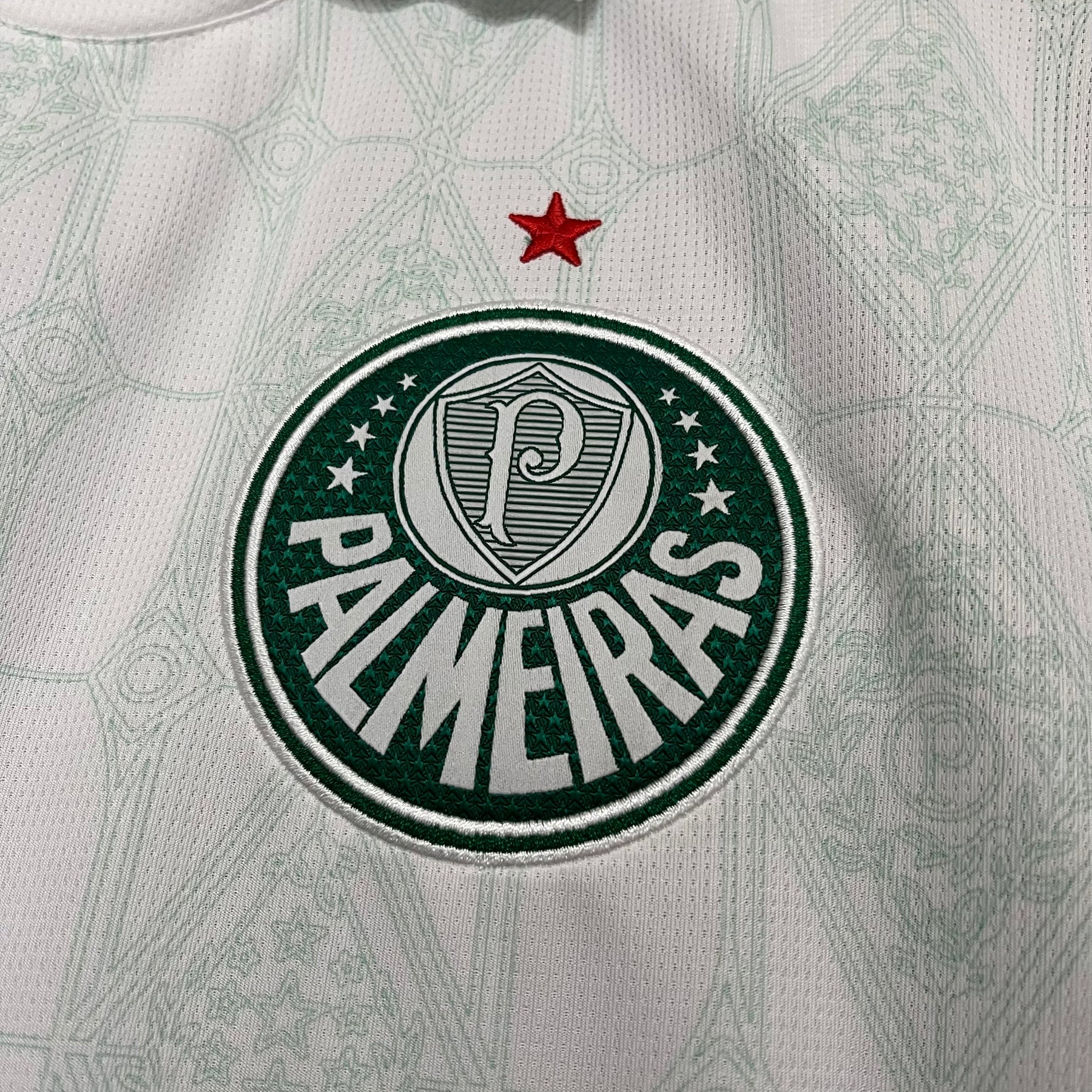 Camisa Palmeiras Away 25-26 Masculina