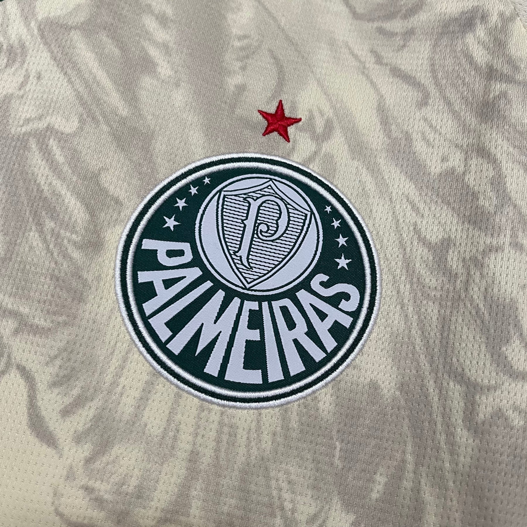 Camisa Palmeiras Especial 25-26 Masculina
