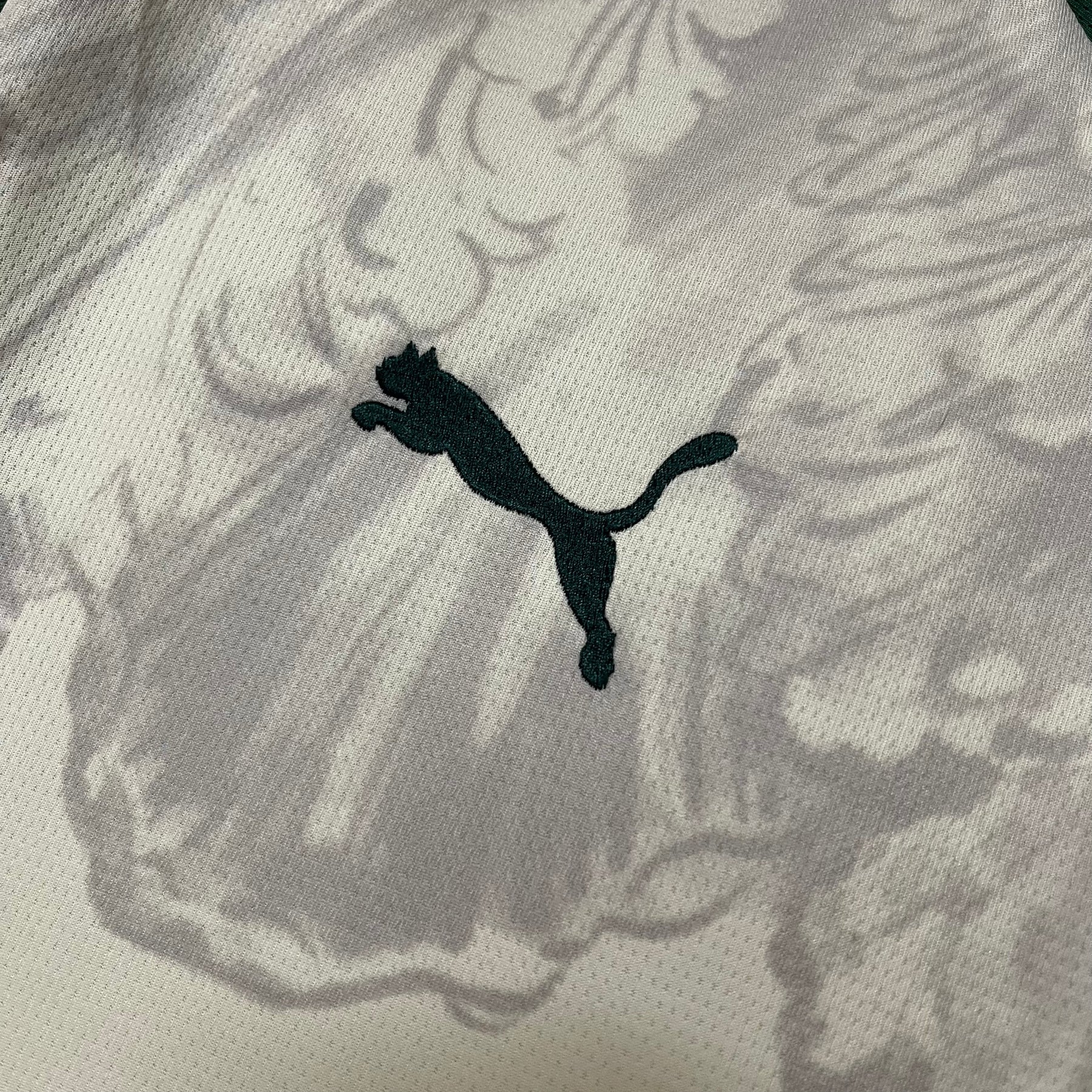 Camisa Palmeiras Especial 25-26 Masculina