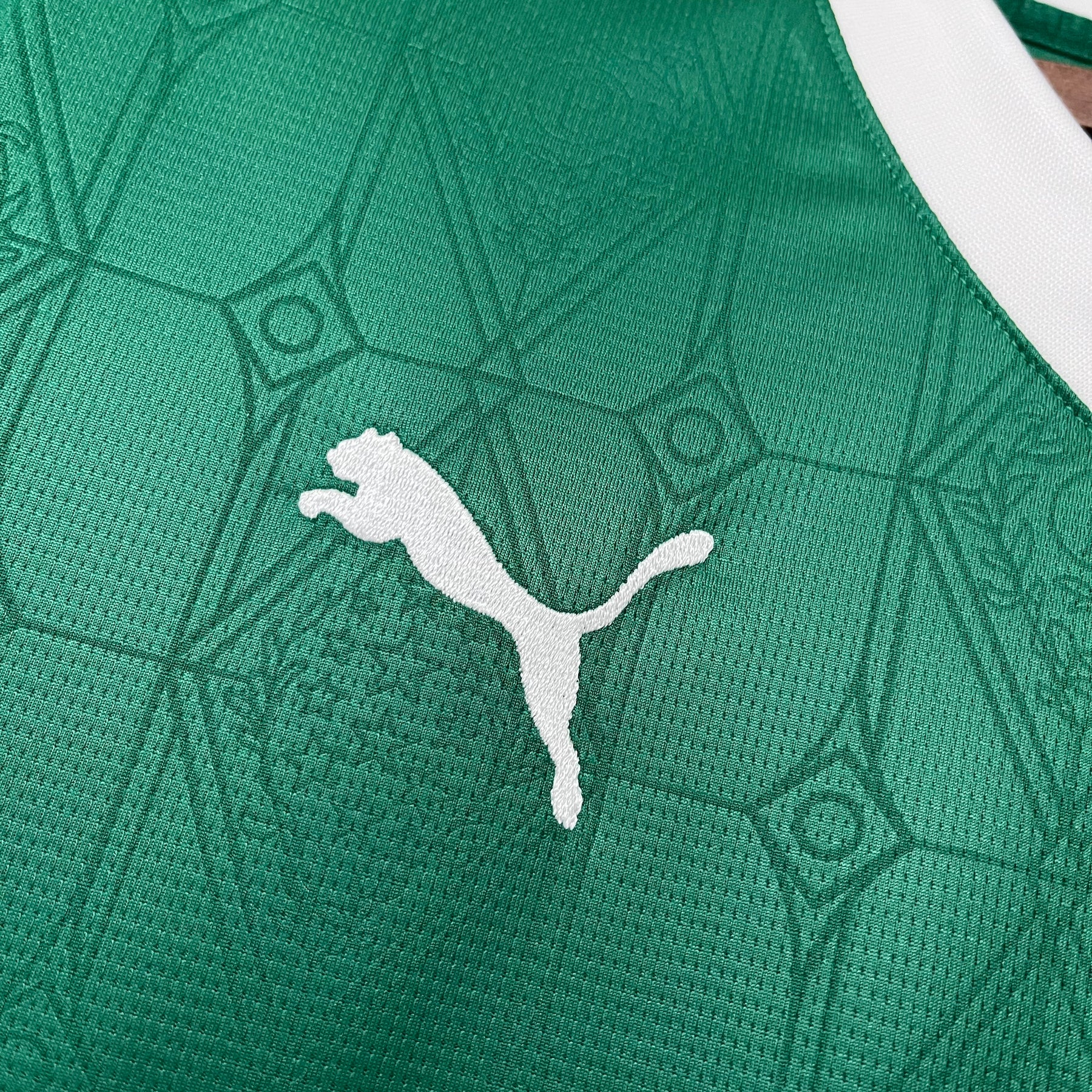 Camisa Palmeiras Home 25-26 Masculina