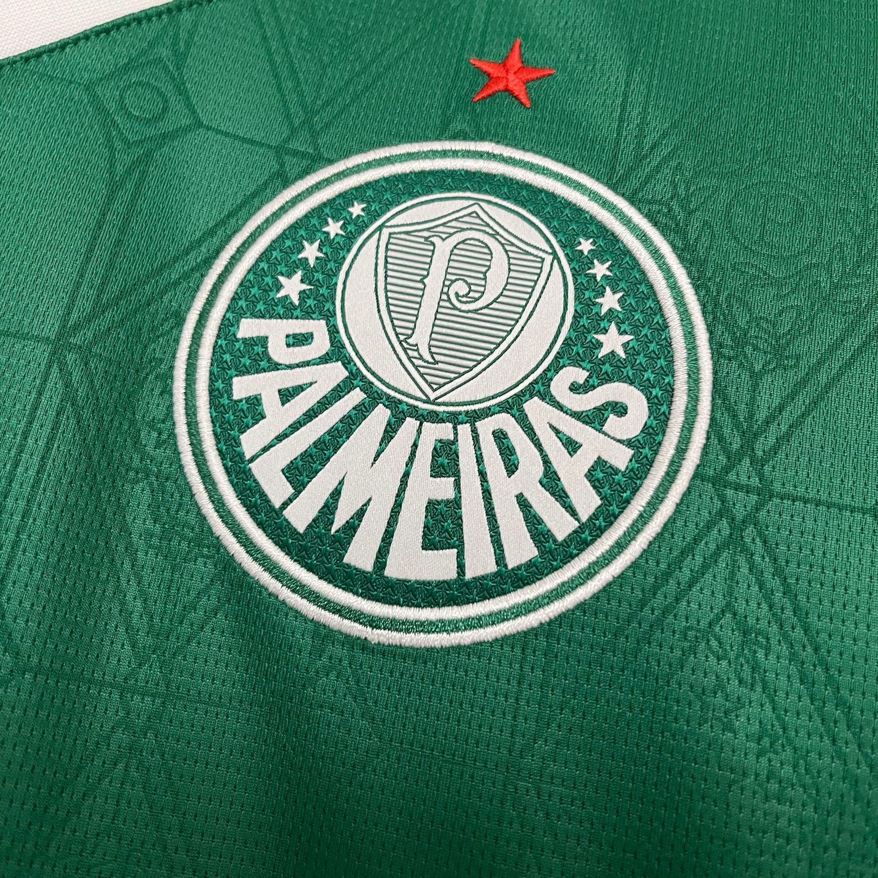 Camisa Palmeiras Home 25-26 Masculina